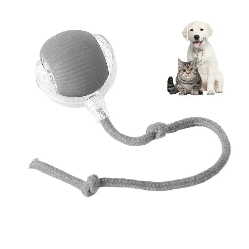 Smart Paw Rolling Ball™ - With Rope - PawBayPets