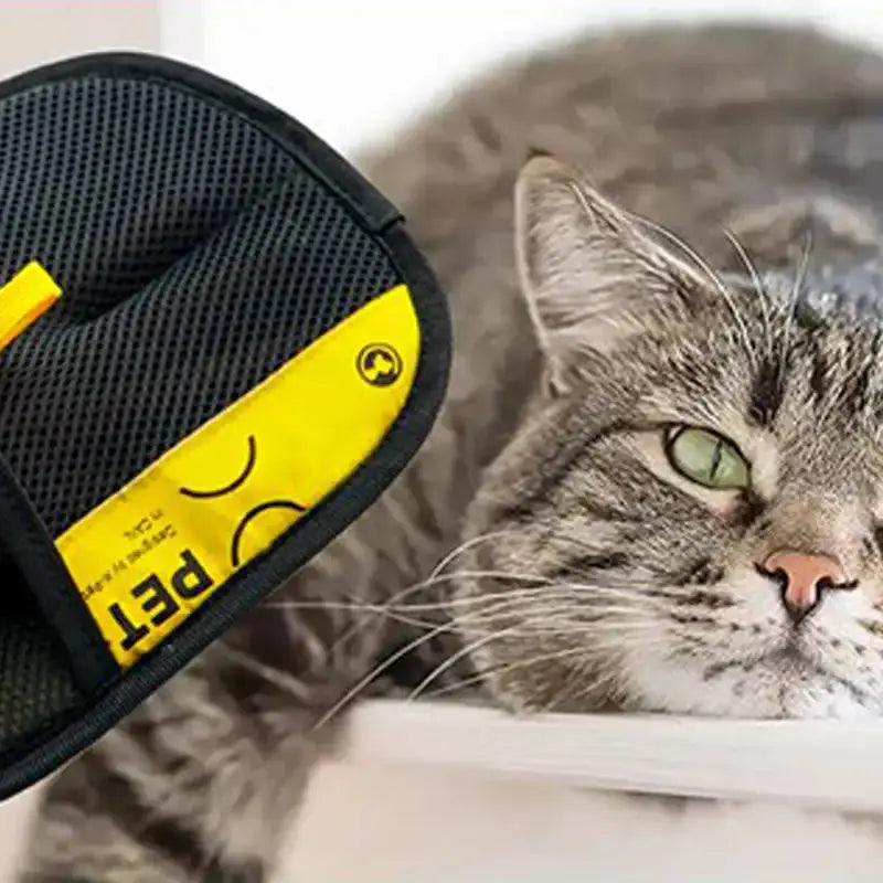 Two-Sided Static Hair Remover Glove - Pet Grooming & Cleaning Tool PawBayPets