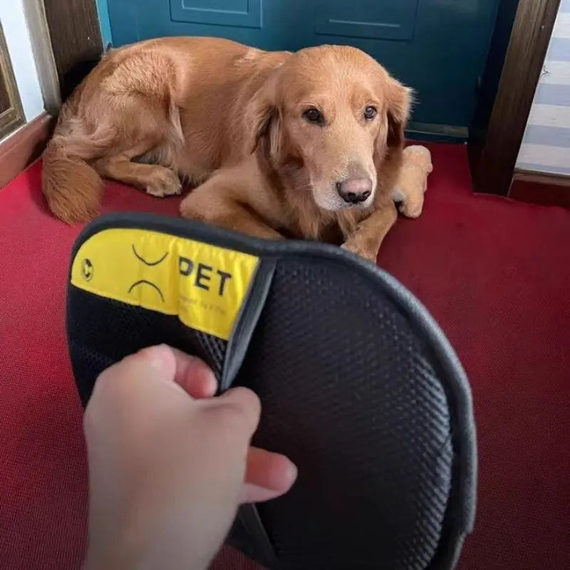 Two-Sided Static Hair Remover Glove - Pet Grooming & Cleaning Tool PawBayPets